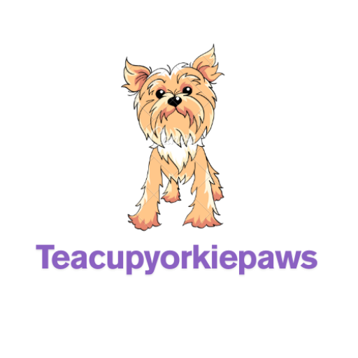 teacupyorkiepaws.com 